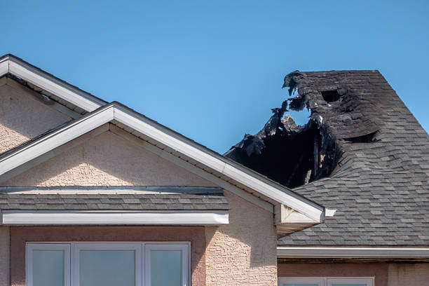 Top rated local Fire Damage Removal specialists in Cave Creek, AZ